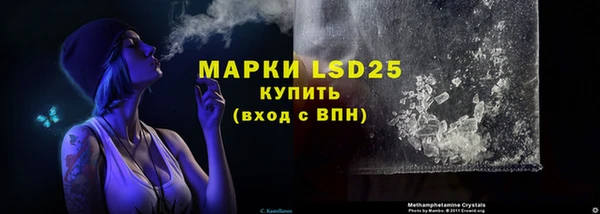 ГАЛЛЮЦИНОГЕННЫЕ ГРИБЫ Белокуриха