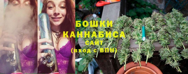 ГАЛЛЮЦИНОГЕННЫЕ ГРИБЫ Белокуриха