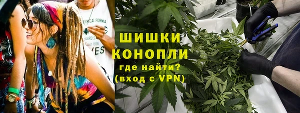 спайс Богданович
